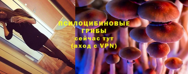 бутират Алзамай