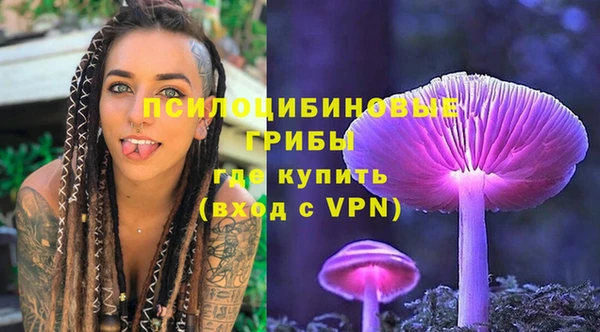 прущая мука Абаза