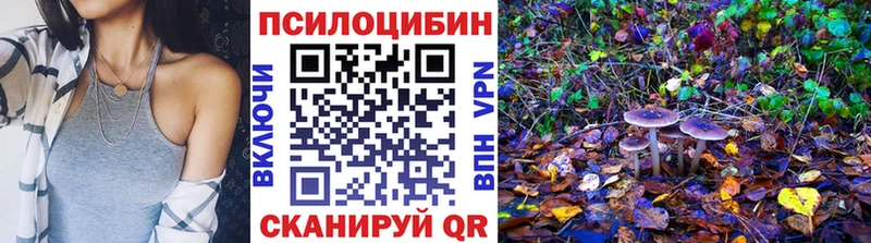 сайты даркнета клад  купить закладку  Ртищево  Псилоцибиновые грибы GOLDEN TEACHER 