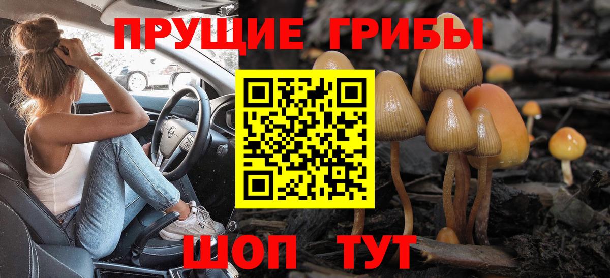 Галлюциногенные грибы Psilocybine cubensis Ртищево