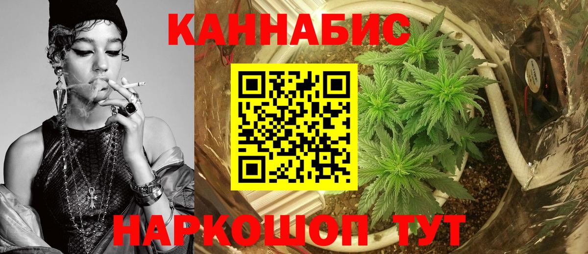 Бошки марихуана сатива  МАРИХУАНА THC 21%  Ртищево  Вход с VPN 